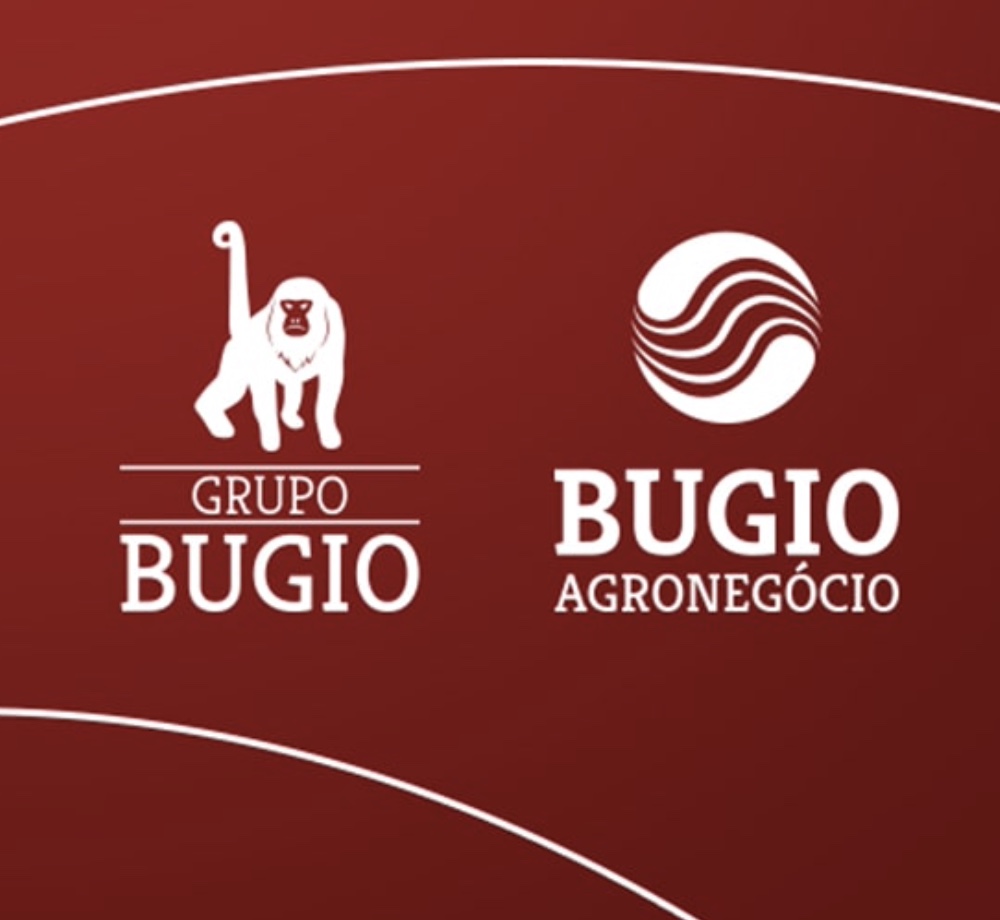 Captura de Tela 2022-11-22 às 16.32.37